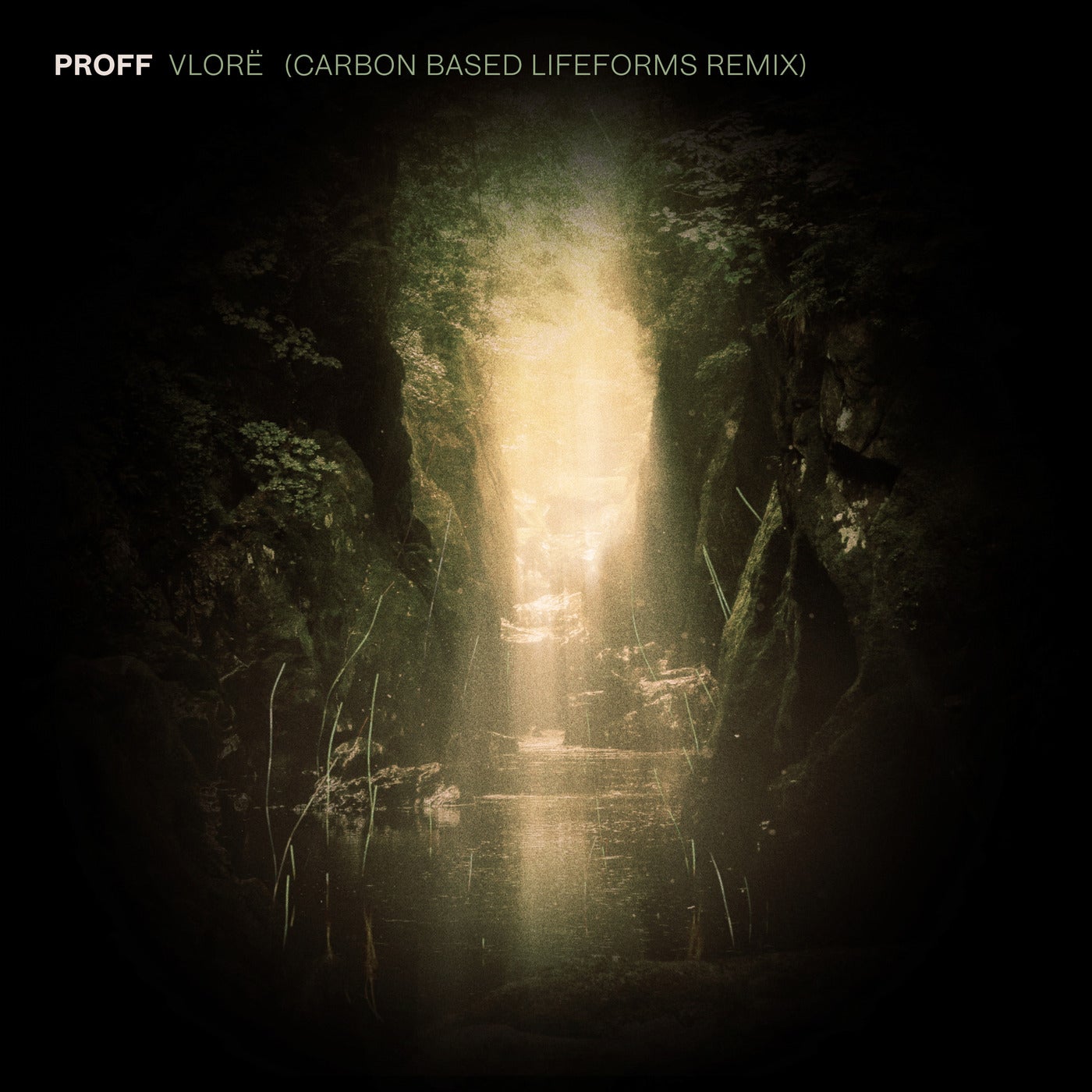 www.beatport.com