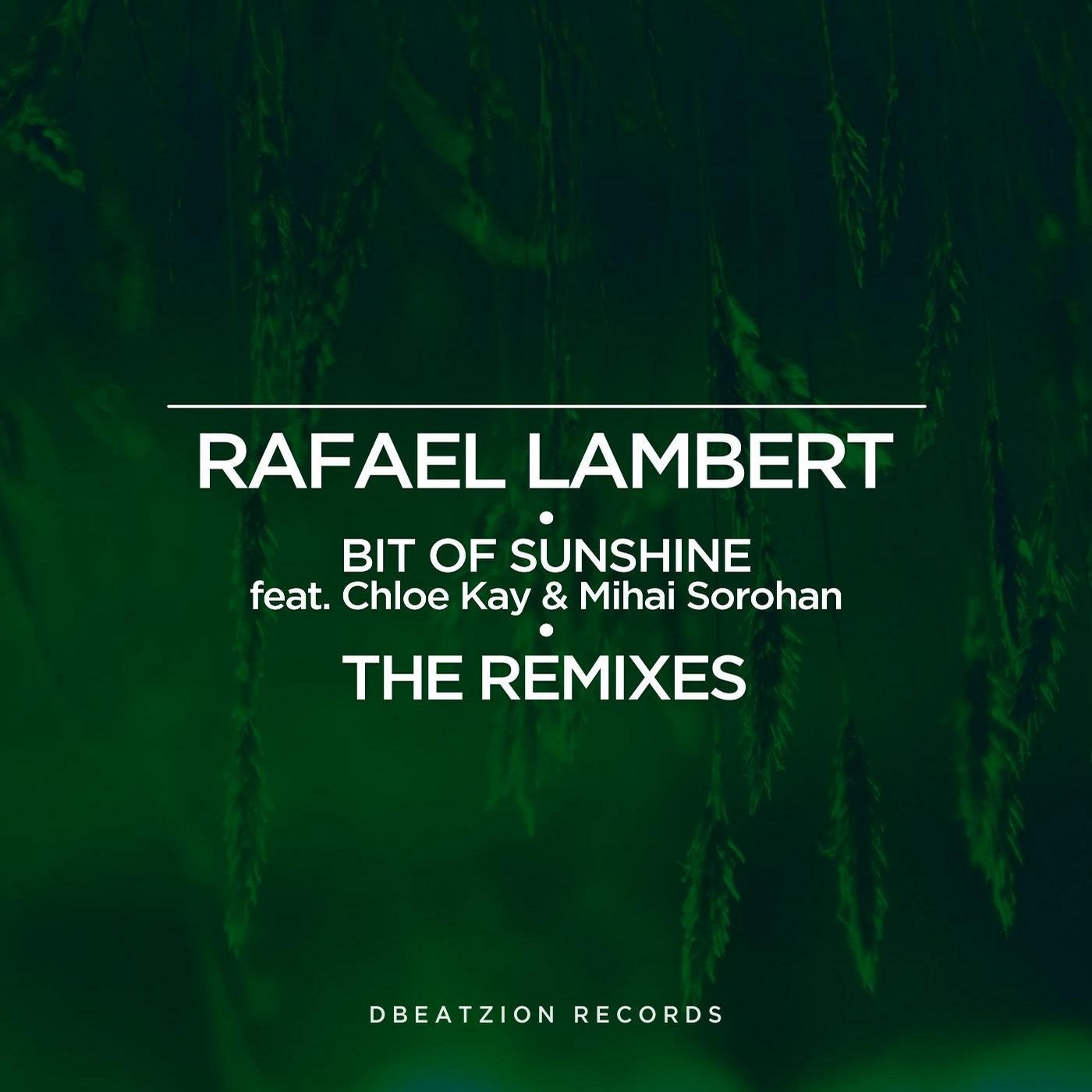 Bit Of Sunshine (The Remixes)