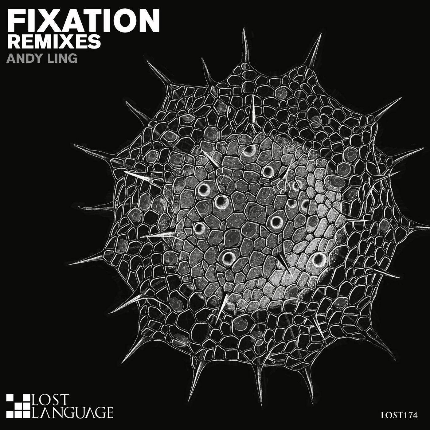 Fixation (Remixes)