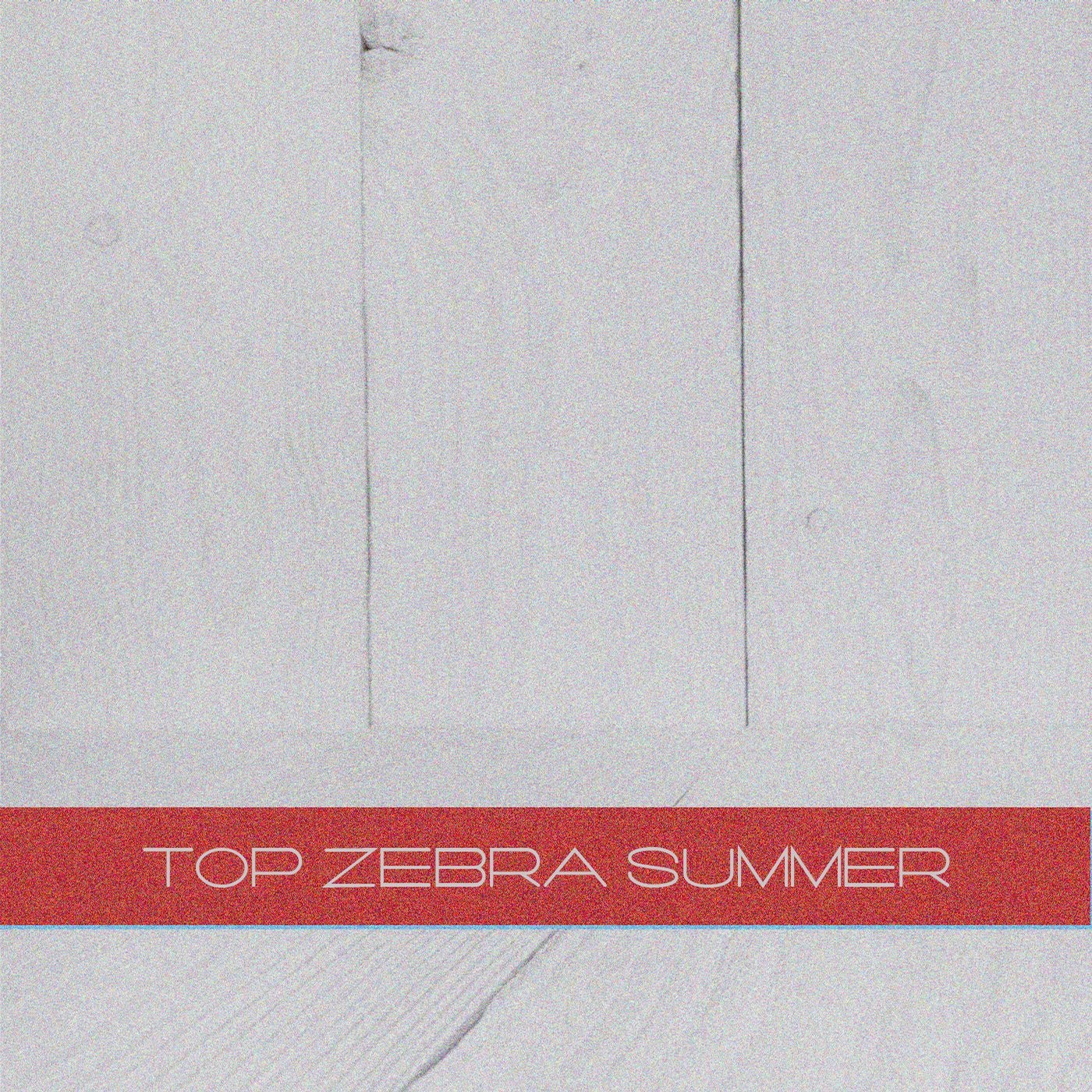 TOP Zebra Summer