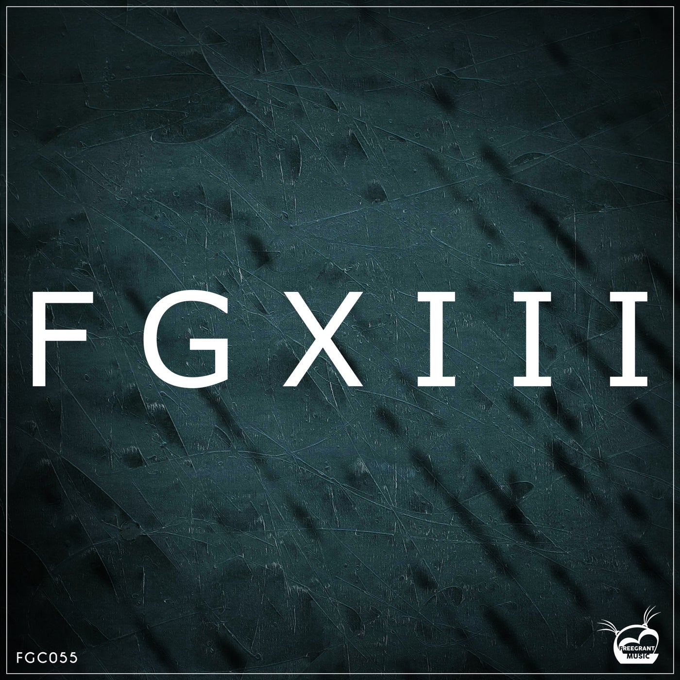 VA - FGXIII (13th Years Anniversary) FGC055