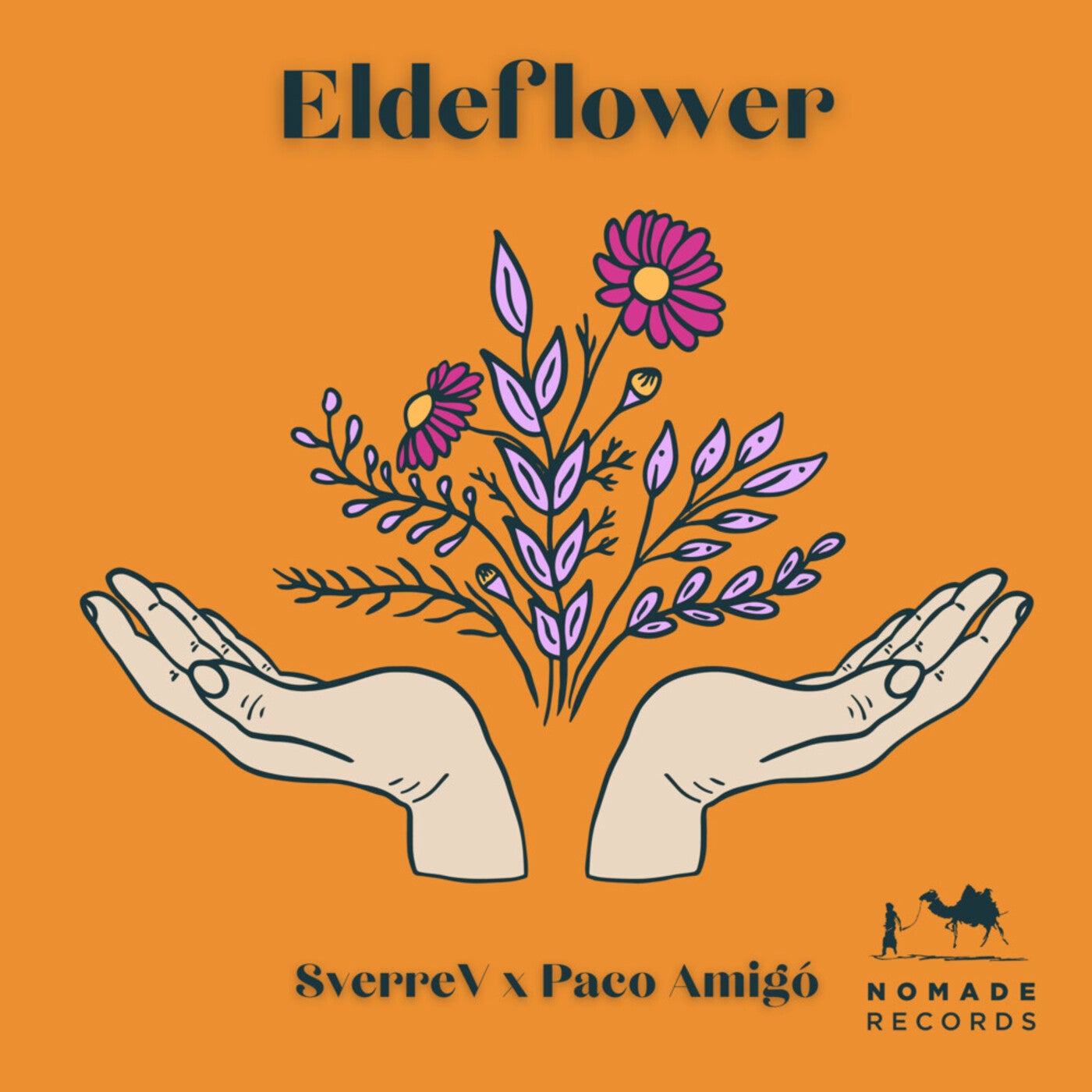 Eldeflower