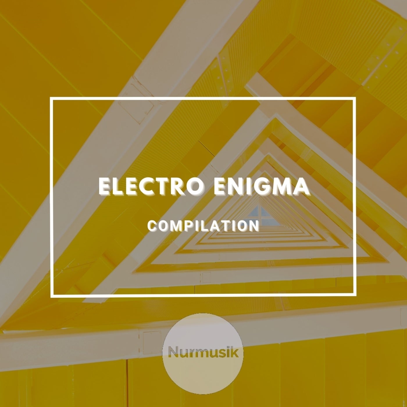 Electro Enigma