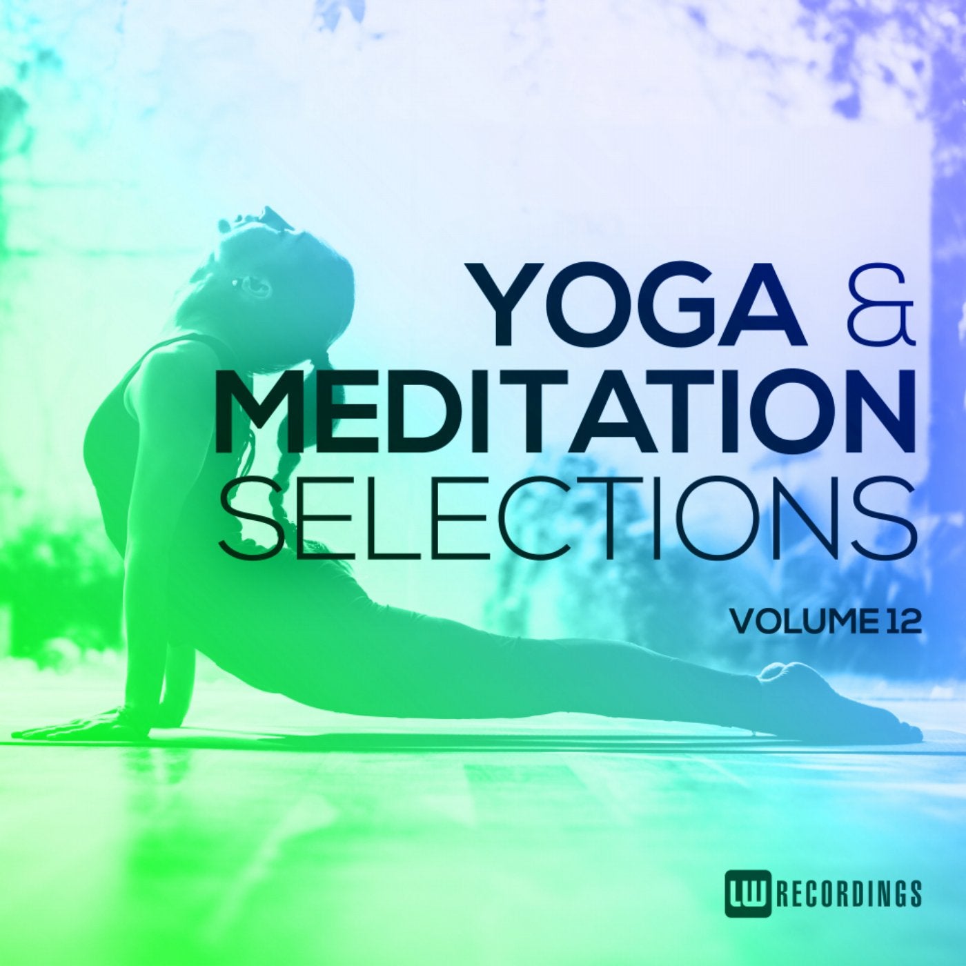 Yoga & Meditation Selections, Vol. 12