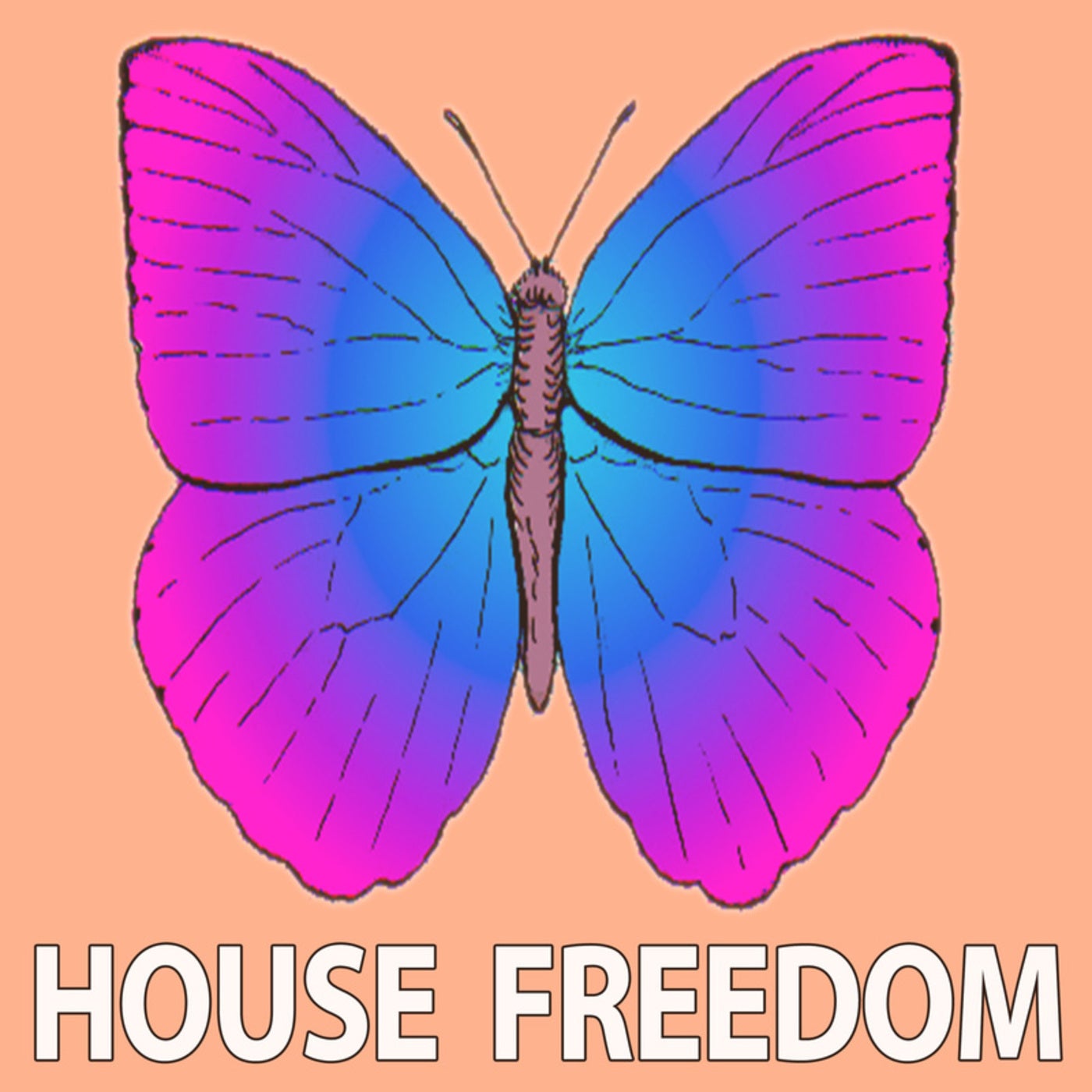 VA March [House Freedom]