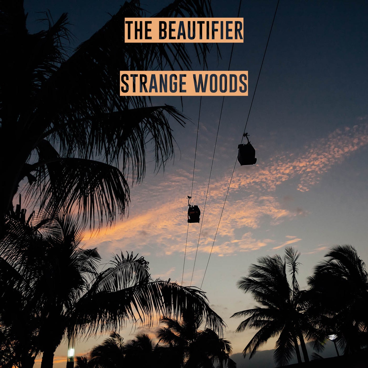 strange woods