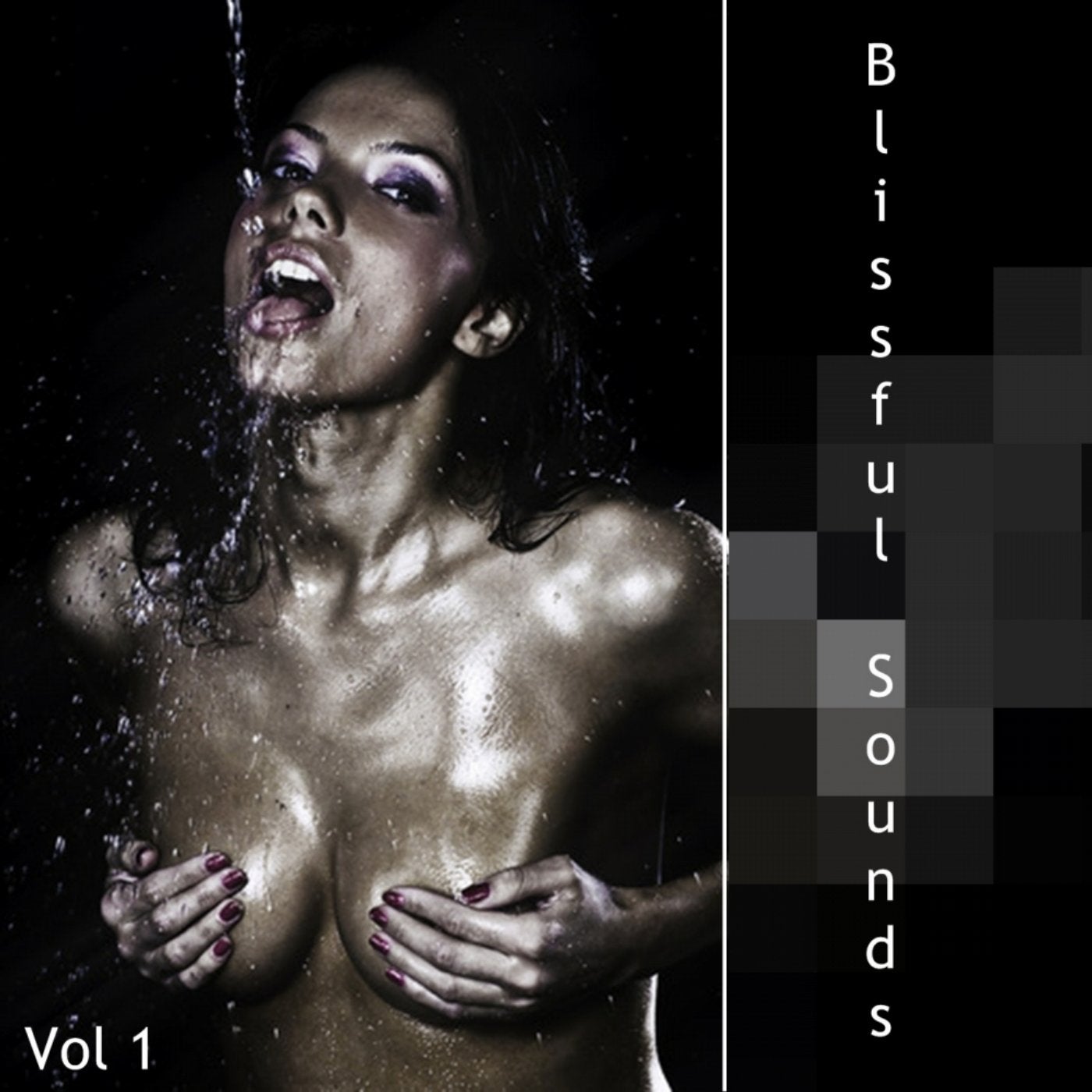 Blissful Sounds, Vol. 1