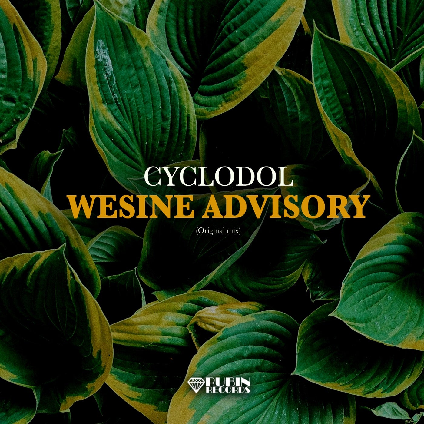 Wesine Advisory