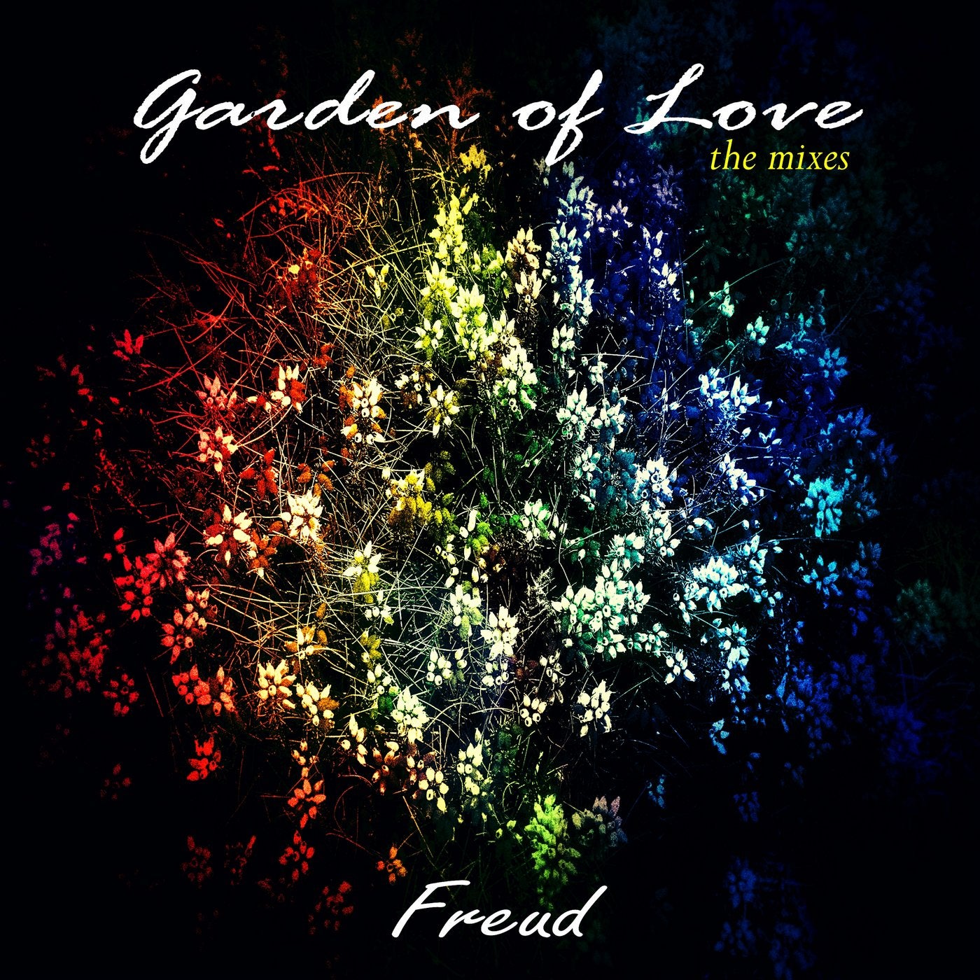 Garden of Love: The Mixes