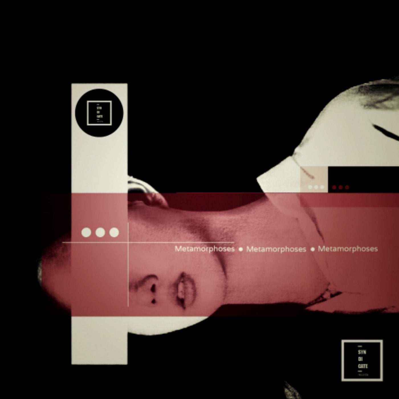 Metamorphoses