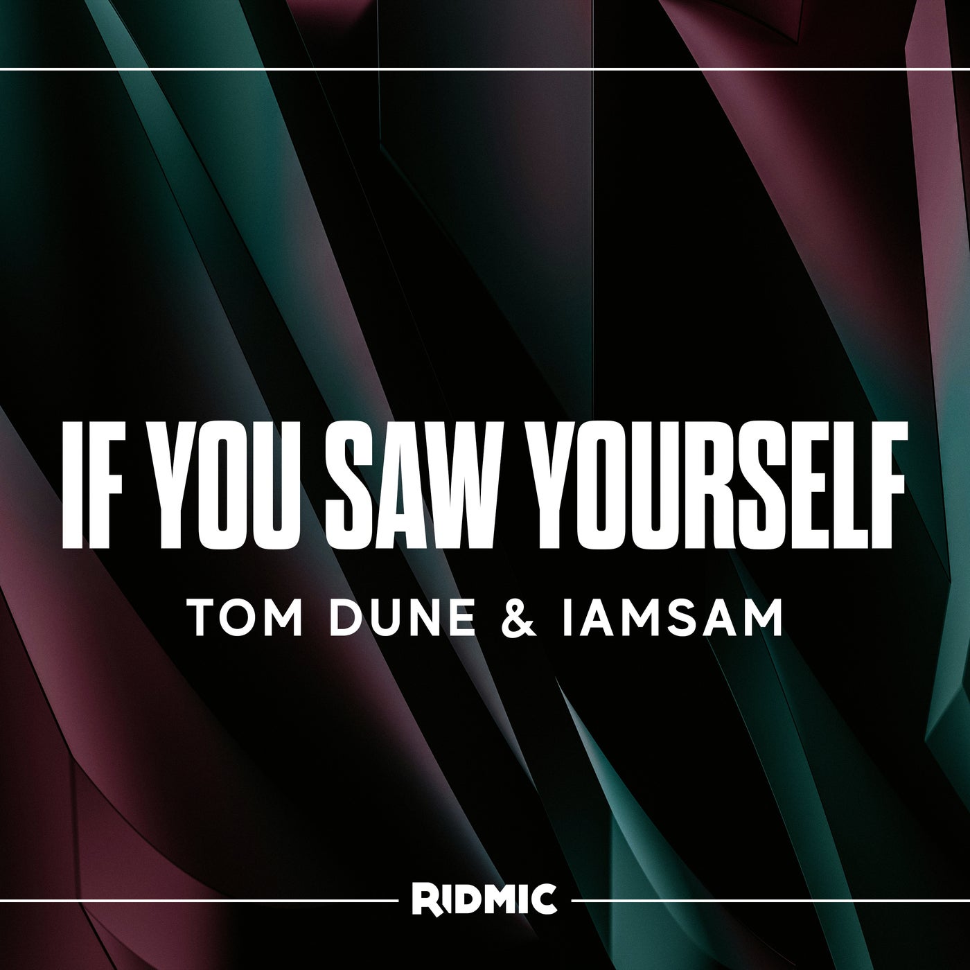 If You Saw Yourself