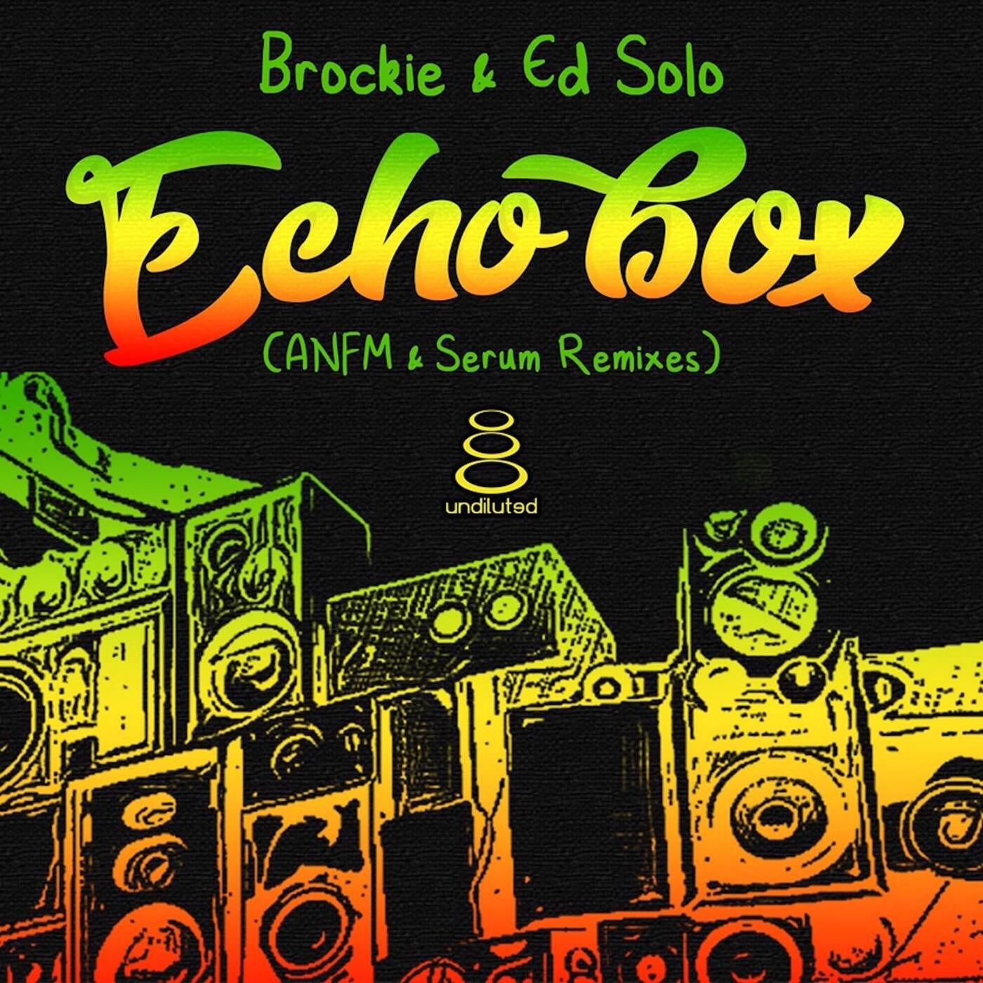 Echo Box (ANFM & Serum Remixes)