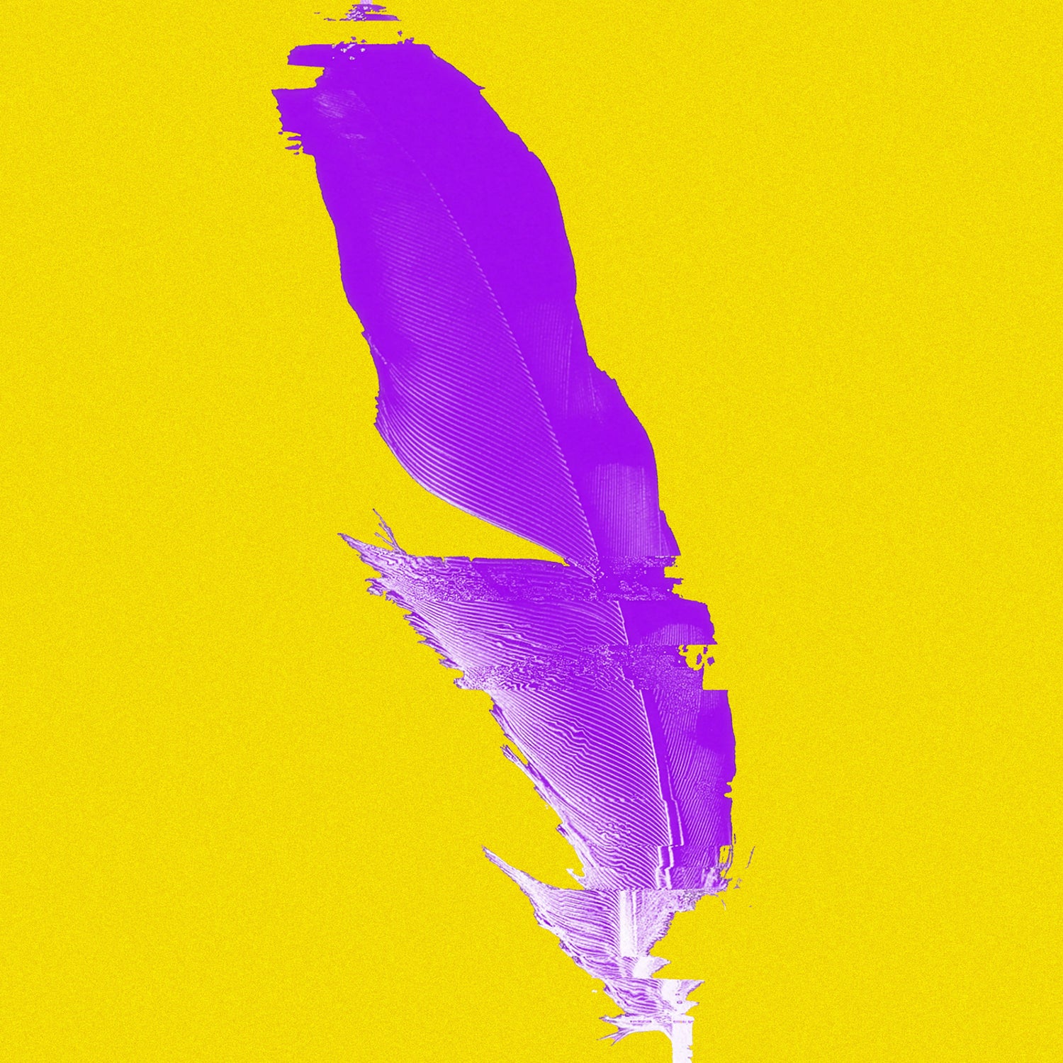 6f66ab31-5402-4906-9eaa-9b9ba686f6c5.jpg