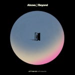 Letting Go (Above & Beyond Extended Club Mix) cover art