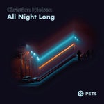 All Night Long cover art