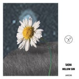Hollow Sun 25
