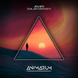Solar Gravity