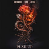 Push Up