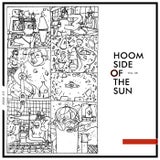 Anomaly
