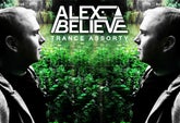 Alex Believe