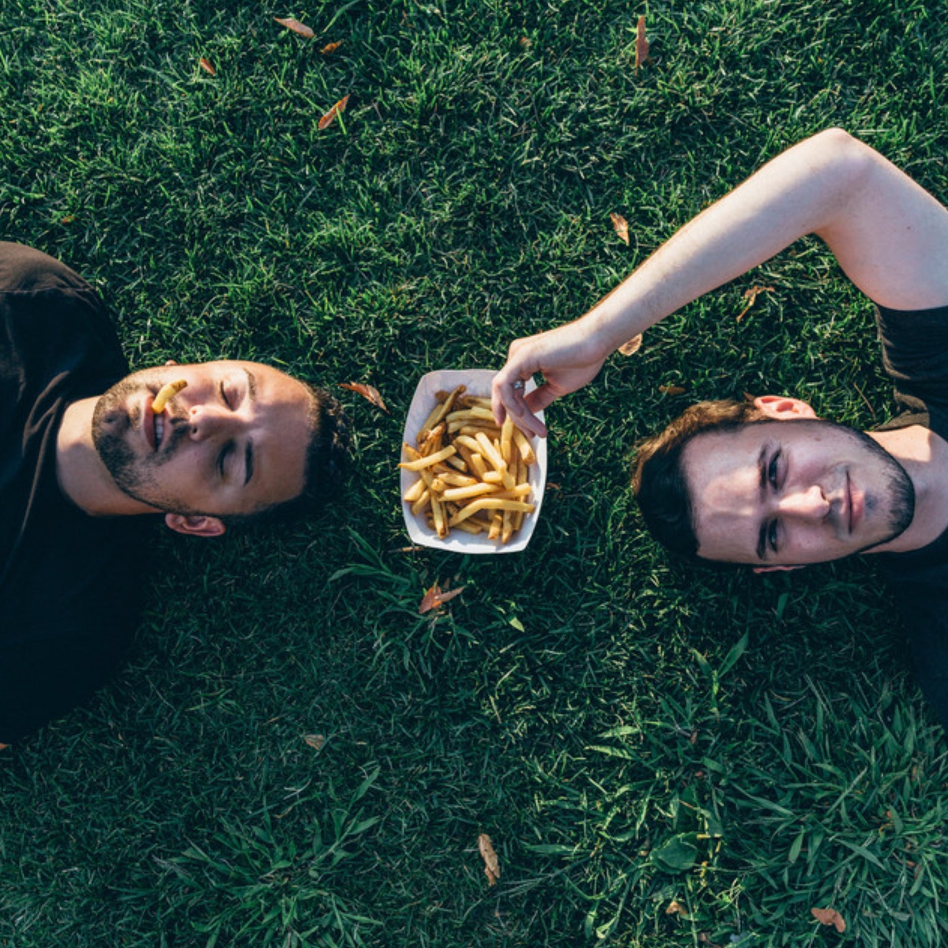 Disco Fries