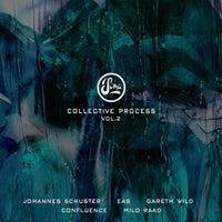 VA - Collective Process Vol.2 [Soma Records]