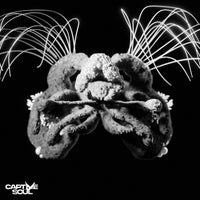 Jono Stephenson & Senes - Motive (Extended Mix) album artwork