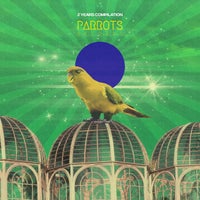 VA - 2 Years Compilation [Parrots Records]