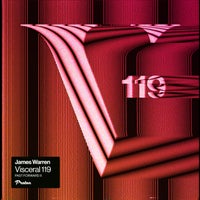 VA - Visceral 119 Past Forward X [VSCR2212]