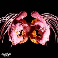 Spartaque & As Ide - With You (Extended Mix) album artwork