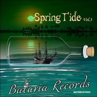 VA - Spring Tide, Vol. 3 [Batavia Records]