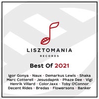 VA - Best Of 2021 - (Lisztomania Records)