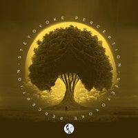 VA - Steyoyoke Perception Vol. 10 SYYKPERC010