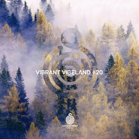 VA - Vibrant Vibeland 20 [Soundteller Records]