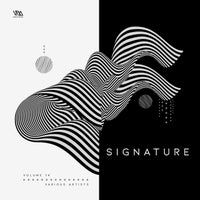 VA - Variety Music Pres. Signature, Vol. 14 VMCOMP948