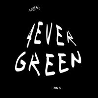 VA - 4evergreen 008 [APL4VRGRN008]