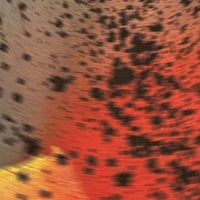 Sciahri - Two Letters album artwork