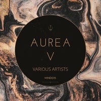 VA - Aurea 5 [MONADA]