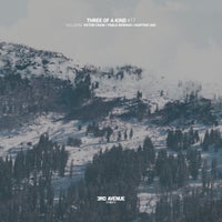 VA - Three of a Kind  17 [3AV351]