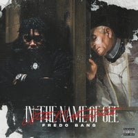Fredo Bang - Top (feat. Lil Durk) [Remix] album artwork