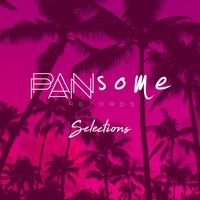 VA - Pansome Selections [Pansome Records]