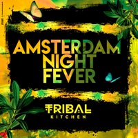 VA - Amsterdam Night Fever 4056813445411