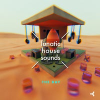 LUNATIC HOUSE SOUNDS - The Day (D.J.L.B Efficient Mix) album artwork