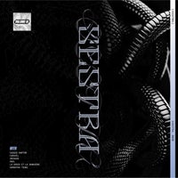 VA - Vasstr01, Vol. 1 [SYNTH RELIGION]
