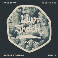 Jakobin & Domino - Filter Queen album artwork