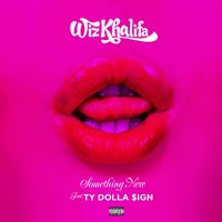 Wiz Khalifa - Something New (feat. Ty Dolla $ign) album artwork