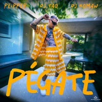 Peipper, DJ Tao & DJ Roman - PÉGATE album artwork