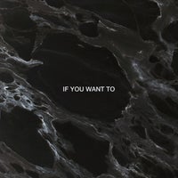 Dimension - If You Want To album artwork