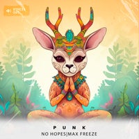 No Hopes & Max Freeze - Punk album artwork