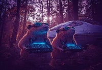 CapybaraZ